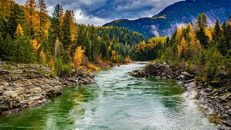 Pexels .com - Fotobanka s bezplatnými fotkami. Najpopulárnejšie. Fotobanka s bezplatnými fotkami a videami, ktoré môžete použiť kdekoľvek. Vysoká kvalita 100 % zadarmo Uvedenie autora sa nevyžaduje.